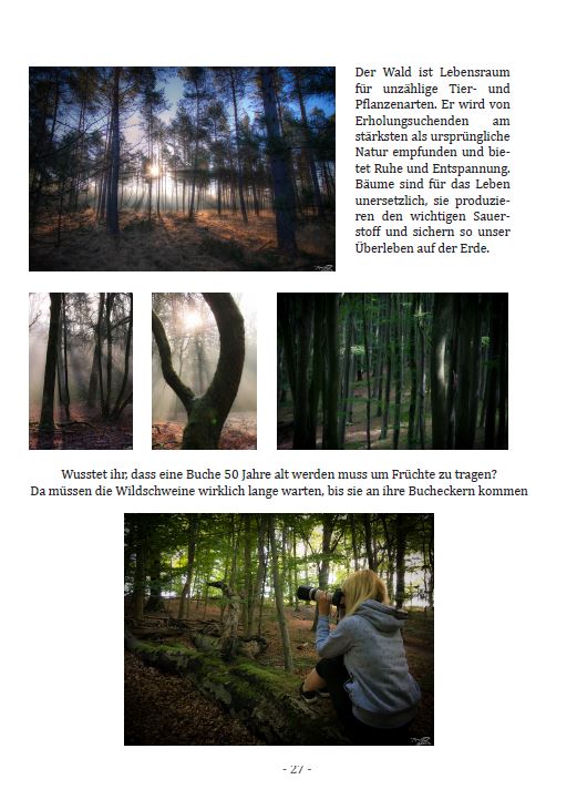 Buch "Bin im Wald" von Sabine Langer - Beispielseite