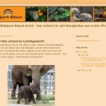 Wildpark Bibach - Aktuelles (Blog)